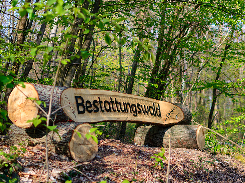 Naturnaher Eingang zum Bestattungswald mit geschnitztem Holzschild – Symbol für würdige Waldbestattungen.
